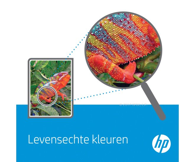 HP No.117A Cyaan 700 pagina`s (Origineel) - 59361 5 - 59361