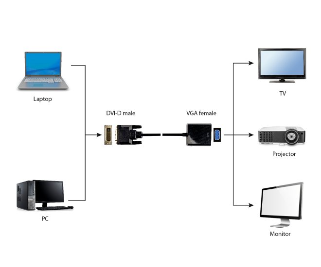DVI-D naar VGA adapterkabel 20 cm - A dvid vgaf 01 web site image cddd8b2f edd2 4836 a9ca 0fb6aa44a41f - A-DVID-VGAF-01