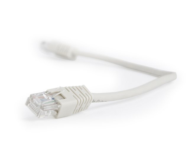 UTP Cat5E patchkabel, 0.25 m, grijs - Pp12 025m web site image 204a765c d370 4452 92e6 6816724e00f7 - PP12-0.25M